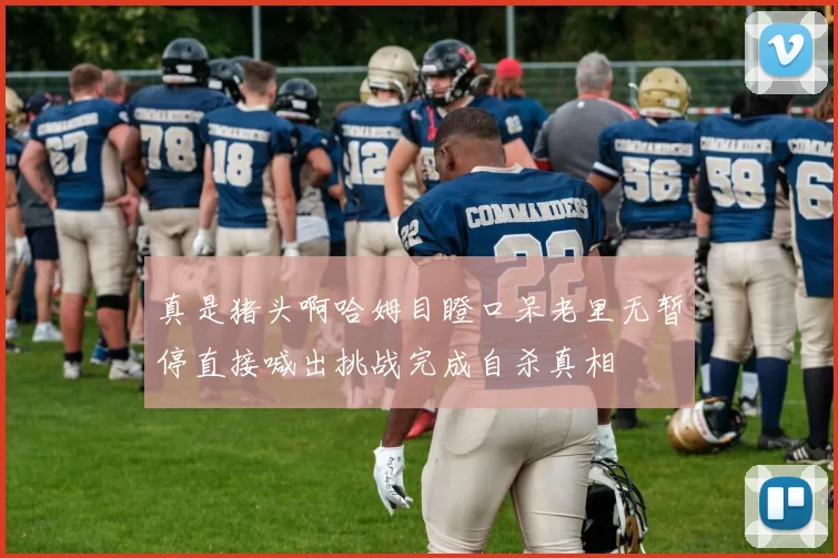 真是猪头啊哈姆目瞪口呆老里无暂停直接喊出挑战完成自杀真相